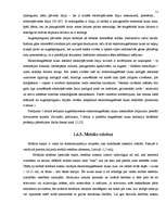 Referāts 'Rīgas Imantas vidusskolas elektromagnētiskā lauka piesārņojuma izpēte', 11.