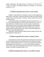 Referāts 'Rīgas Imantas vidusskolas elektromagnētiskā lauka piesārņojuma izpēte', 15.