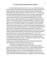 Referāts 'Rīgas Imantas vidusskolas elektromagnētiskā lauka piesārņojuma izpēte', 17.