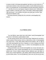 Referāts 'Rīgas Imantas vidusskolas elektromagnētiskā lauka piesārņojuma izpēte', 23.