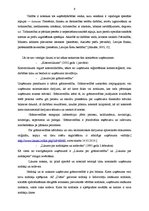 Prakses atskaite 'Uzņēmuma AS "Diāna" veikalu tīkls "Mājai un Dārzam"', 9.