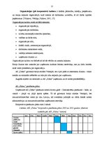 Prakses atskaite 'Uzņēmuma AS "Diāna" veikalu tīkls "Mājai un Dārzam"', 25.