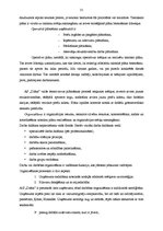 Prakses atskaite 'Uzņēmuma AS "Diāna" veikalu tīkls "Mājai un Dārzam"', 31.