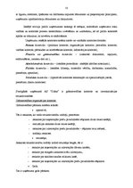 Prakses atskaite 'Uzņēmuma AS "Diāna" veikalu tīkls "Mājai un Dārzam"', 33.