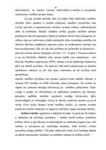 Referāts 'Cilvēktiesību nodrošināšana', 20.