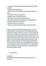 Konspekts 'Bērncentrētais mācību modelis (Montesori metode)', 3.