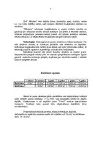 Biznesa plāns 'SIA "Meistars"', 7.