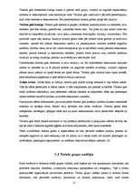 Referāts 'Tūrisma gidu, grupas vadītāju funkcijas, nepieciešamā sagatavotība un prasmes', 12.