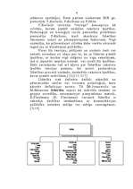 Referāts 'Līdera rakstura īpašību nozīme grupas saliedētībā', 6.