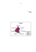 Referāts 'Līdera rakstura īpašību nozīme grupas saliedētībā', 63.