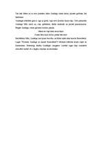 Konspekts 'A.Brigaderes pasaku lugu apskats', 2.