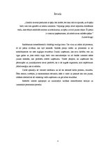 Referāts 'Radošums menedžmentā', 2.