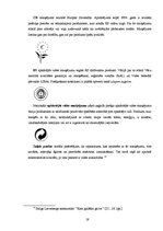 Referāts 'Elektroenerģijas taupīga izmantošana sadzīvē', 19.