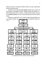 Referāts 'Uzņēmuma SIA "Avon Cosmetics" mārketinga vides analīze', 8.