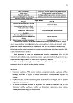 Referāts 'Uzņēmuma SIA "Avon Cosmetics" mārketinga vides analīze', 30.