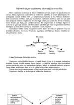 Referāts 'Uzņēmuma apraksts', 4.