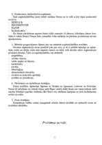 Referāts 'Uzņēmuma apraksts', 7.