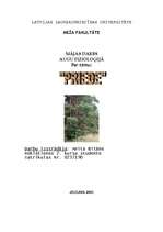 Referāts 'Priede', 1.