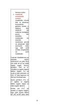 Referāts 'Priede', 19.