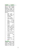 Referāts 'Priede', 30.