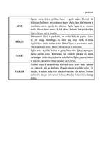 Konspekts 'Integrētas nodarbības konspekts matemātikā par tēmu "Latvijas koki" 2.klasei', 10.