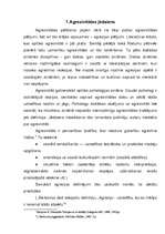 Referāts 'Agresijas teorijas', 4.