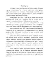 Referāts 'Agresijas teorijas', 15.