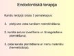 Prezentācija 'Stomatoloģija. Endodontijas ierīces', 6.