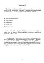 Referāts 'Vadīšanas stili', 3.