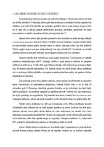Referāts 'Interneta mēmu ietekme uz TikTok lietotājiem vecumā no 16 līdz 19 gadiem', 7.