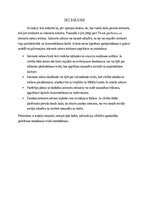 Referāts 'Interneta mēmu ietekme uz TikTok lietotājiem vecumā no 16 līdz 19 gadiem', 13.