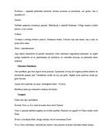 Konspekts 'Reliģijas vēsture', 9.