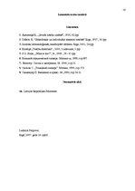 Referāts 'Tiesību doktrīnas ir neatņemama tiesību teorijas sastāvdaļa', 16.