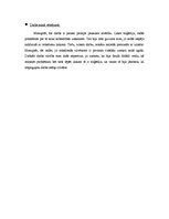 Eseja 'Viljams Šekspīrs "Romeo un Džuljeta"', 3.