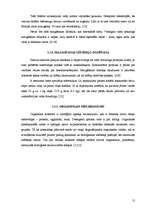 Referāts 'Mazgāšanas līdzekļu ķīmiskais sastāvs un to ietekme uz vidi', 12.