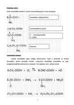 Referāts 'Aminoskābes', 5.