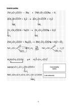 Referāts 'Aminoskābes', 6.