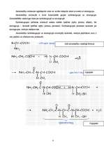 Referāts 'Aminoskābes', 8.