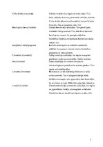 Referāts '"Dove" dušas želeja', 9.