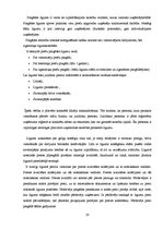 Prakses atskaite 'Kvalifikācijas prakses atskaite par AS "Ķekavas broileri"', 20.