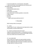 Prakses atskaite 'Kvalifikācijas prakses atskaite par AS "Ķekavas broileri"', 21.