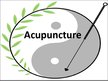 Prezentācija 'Acupuncture', 1.
