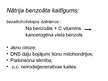 Referāts 'Konservanti un nātrija benzoāta ietekme uz cilvēka organismu', 32.
