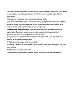 Konspekts 'Ražošana', 6.