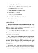 Referāts 'Pāreja uz eiro un tās ietekme uz uzņēmējdarbību', 24.