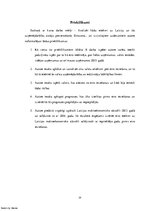 Referāts 'Pāreja uz eiro un tās ietekme uz uzņēmējdarbību', 29.