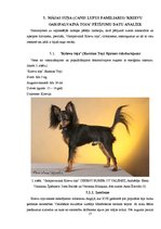 Referāts 'Eigēnika - mācība par ģenētiskā materiāla uzlabošanu nākamajām paaudzēm', 17.