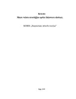 Referāts 'Mazu valstu stratēģijas spēku līdzsvara sistēmā', 1.