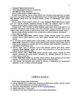 Referāts 'Norēķinu kartes', 11.