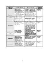 Biznesa plāns 'Biznesa plāns SIA "Celtrex"', 13.